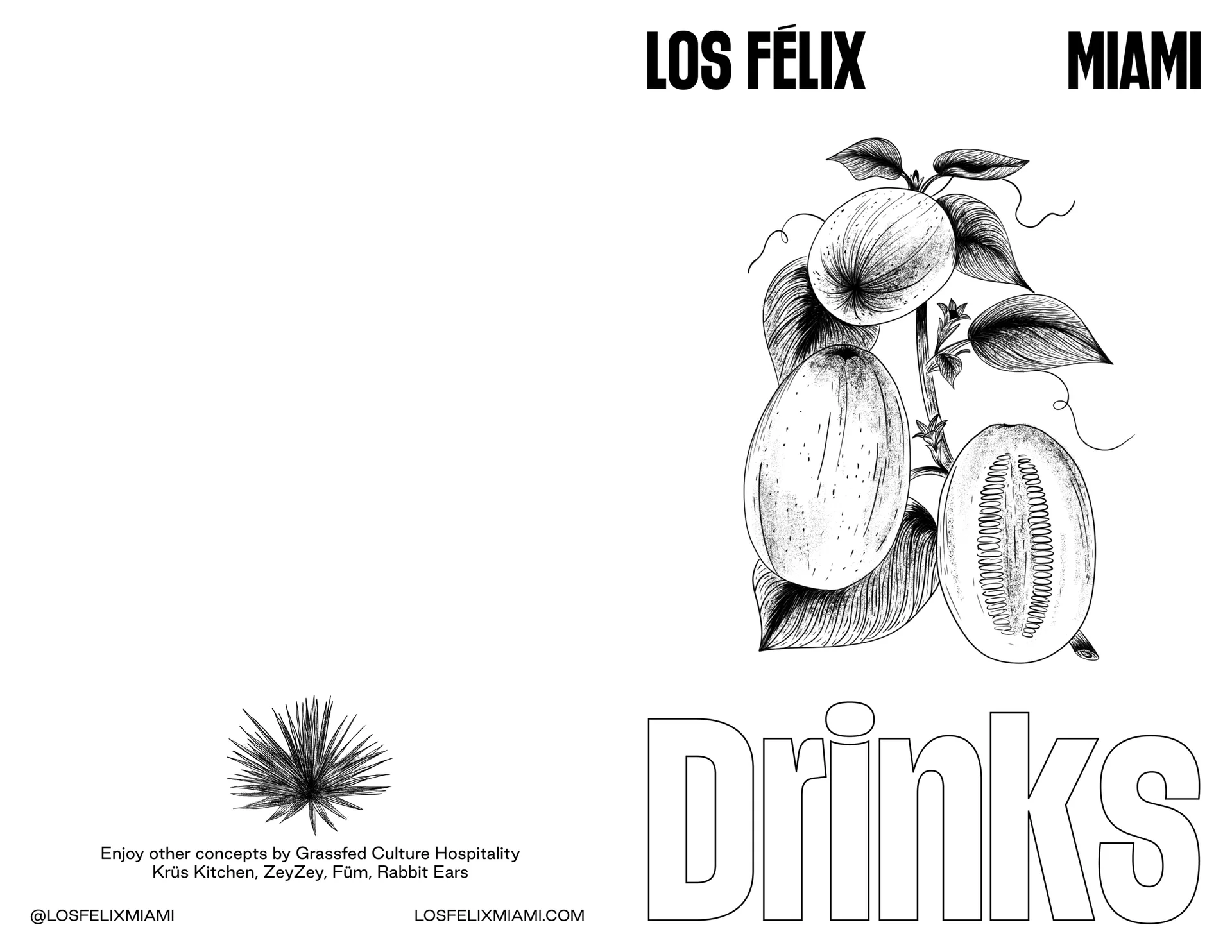 Los Félix — photo 24