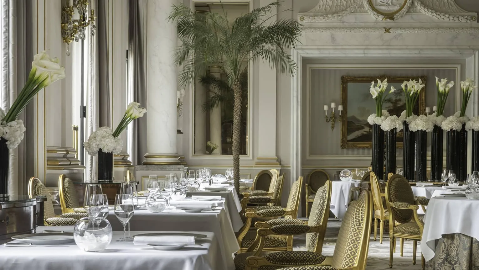 Le Cinq — photo 19