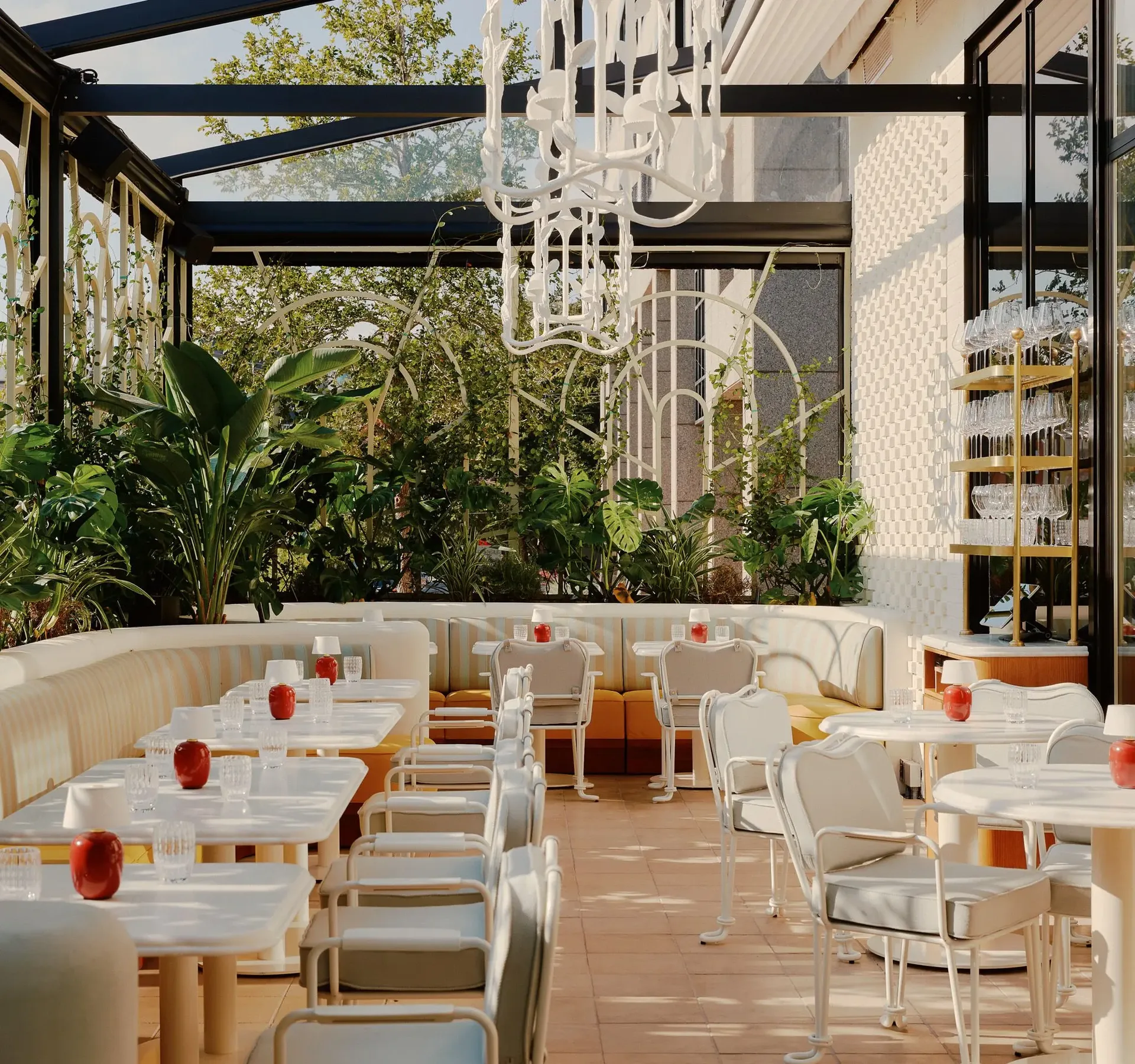 Mamani, Dallas