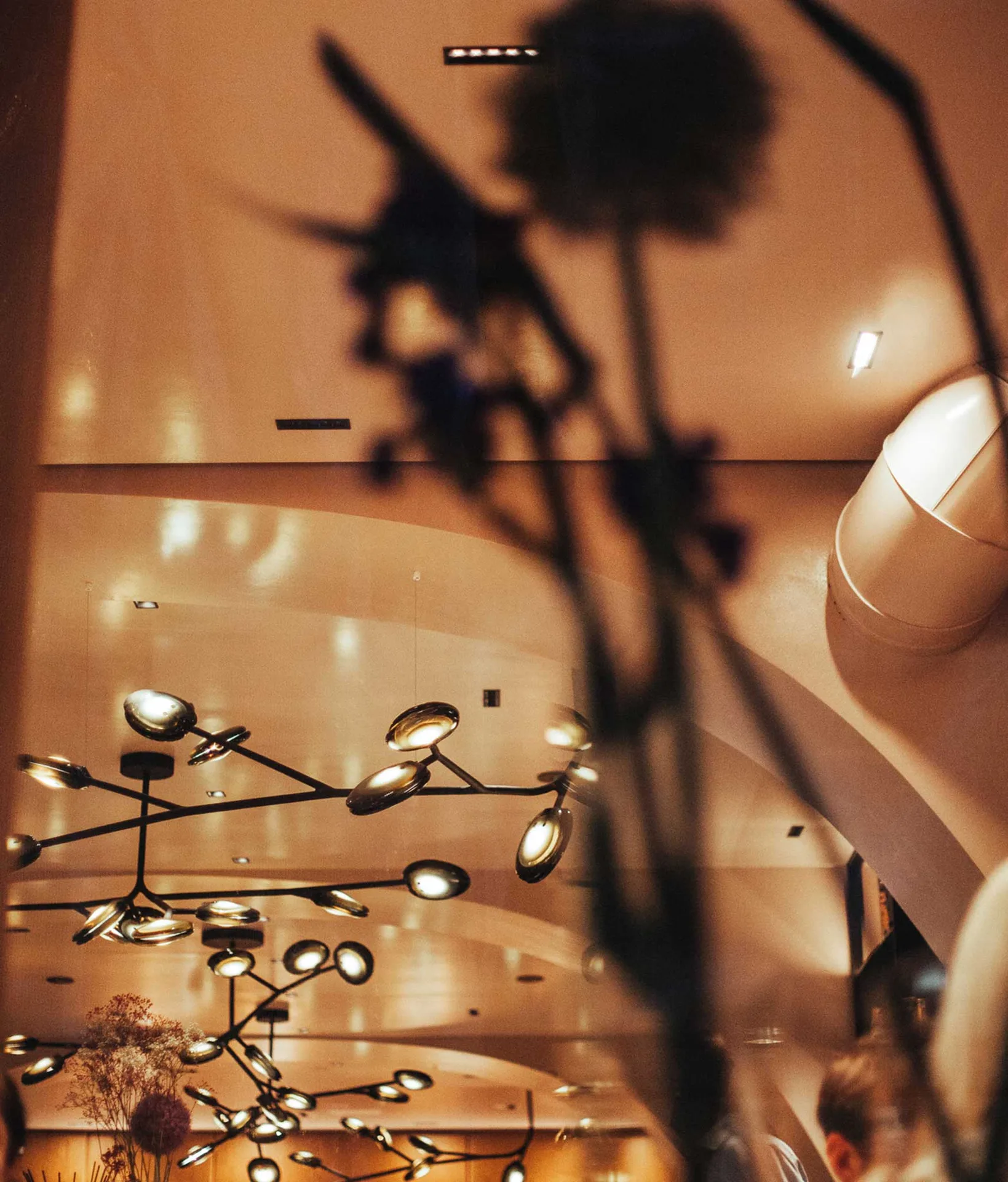 Esszimmer by Alexander Kumptner — photo 20