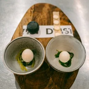 DVISI — photo 7