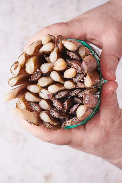 La Mesa de Conus — food
