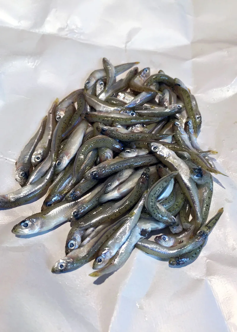 Kødbyens Fiskebar — photo 52