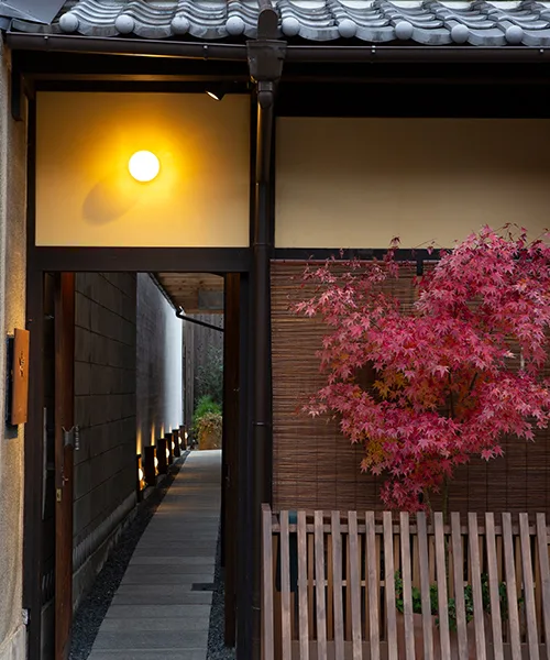 Bini — photo 8