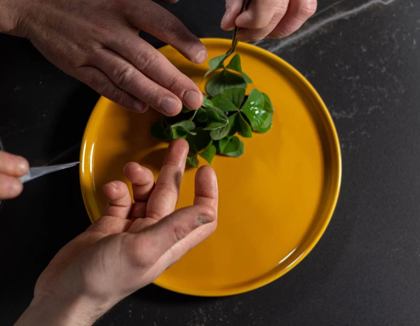 Bramea — kitchen