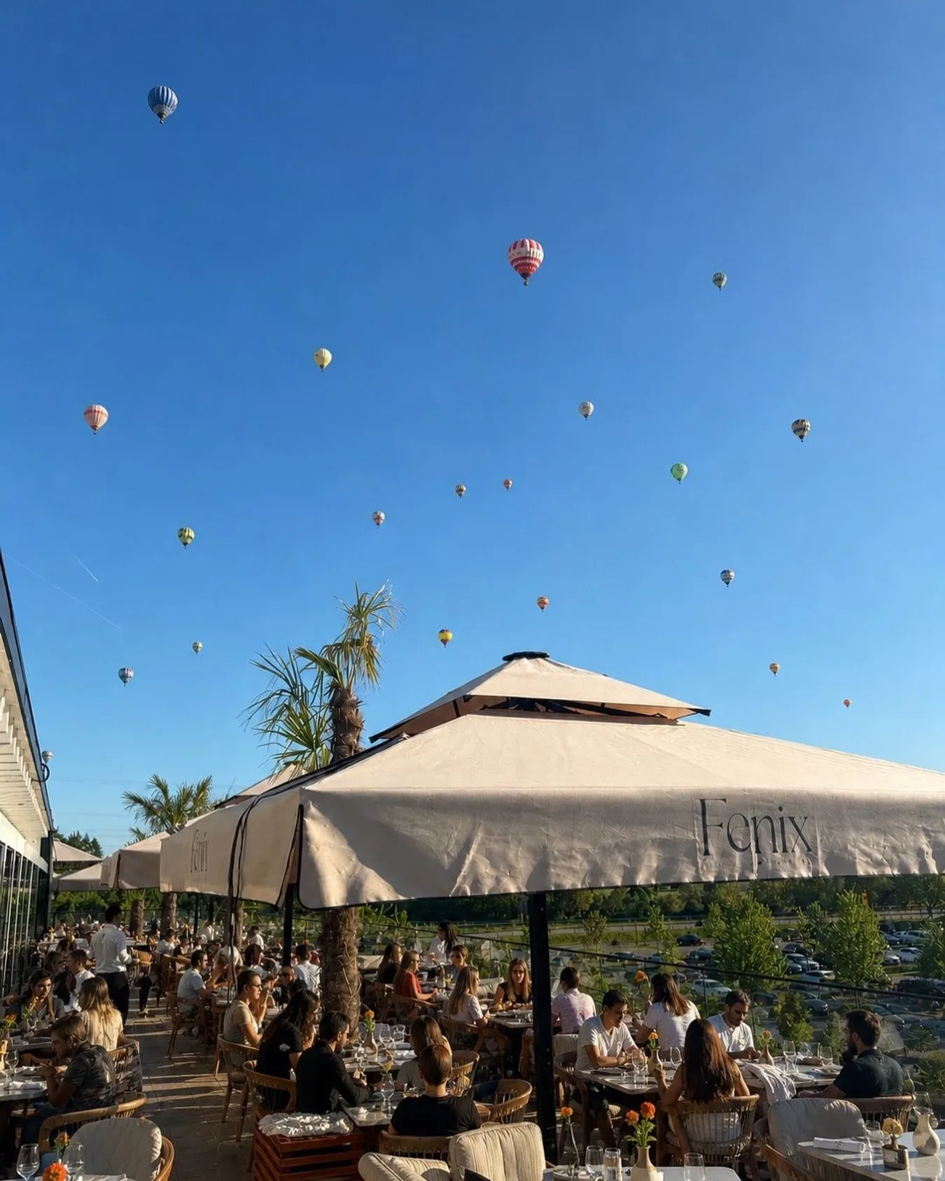 Restaurant Fenix — photo 19