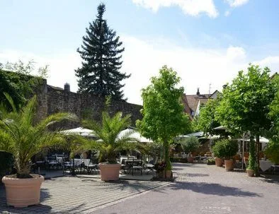 Gasthaus Zum Grünen Baum — photo 16