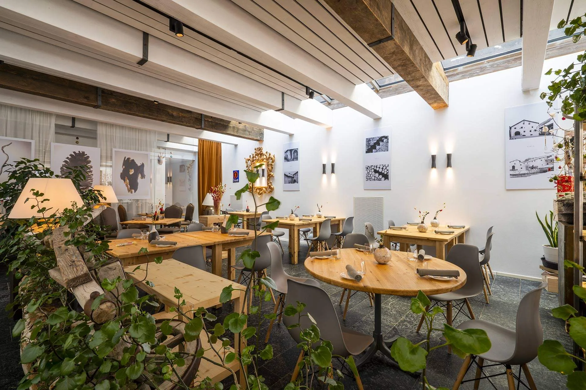 Colani Bistrot — photo 36