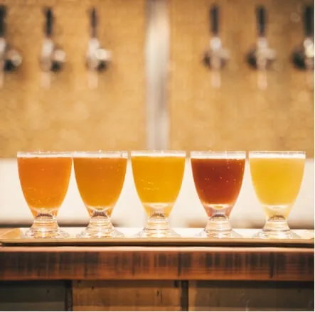 cucina salve — drink