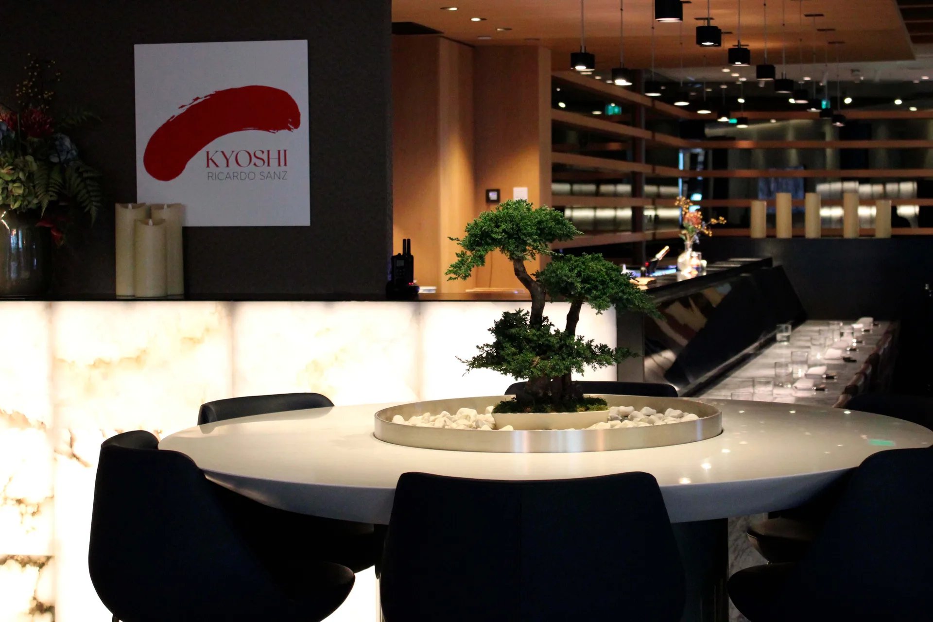 Ricardo Sanz Wellington — photo 14