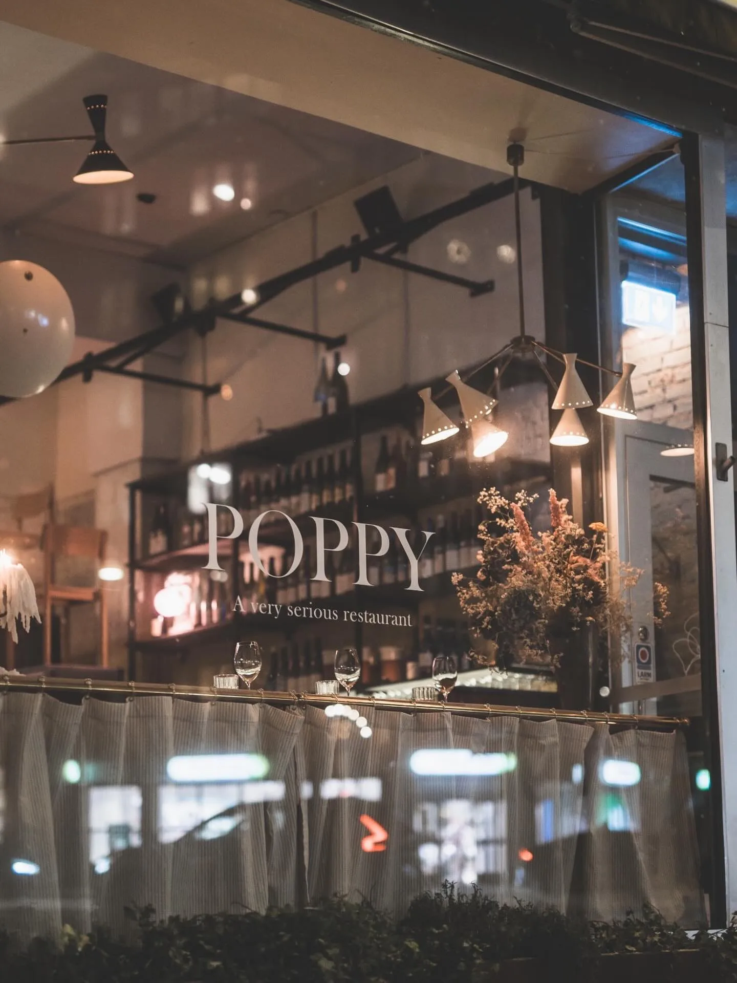 Poppy — photo 19