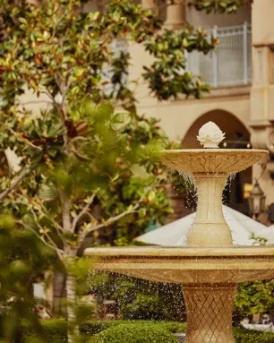 The Terrace at the Maybourne Beverly Hills — photo 27