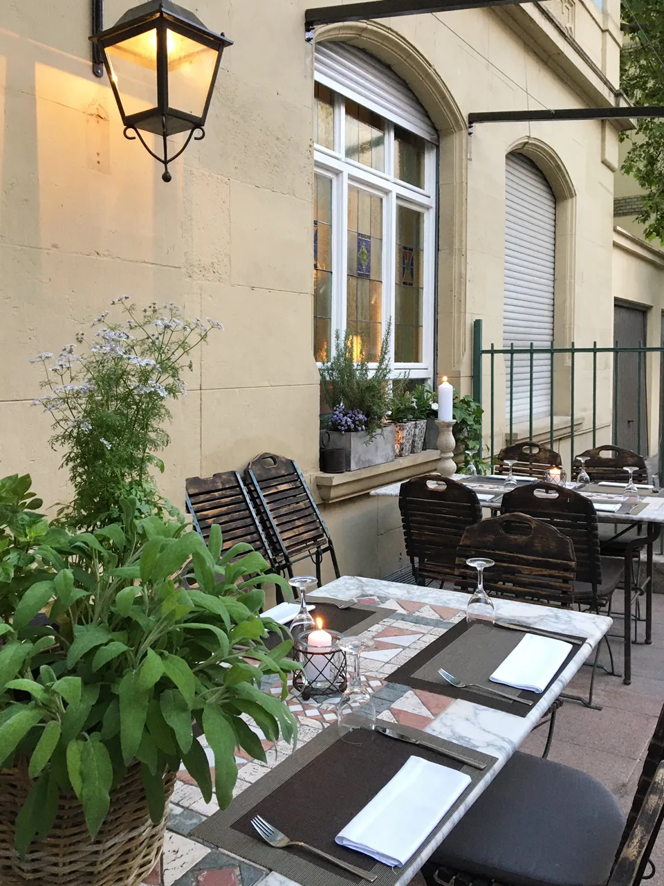 Osteria Limoni — photo 13