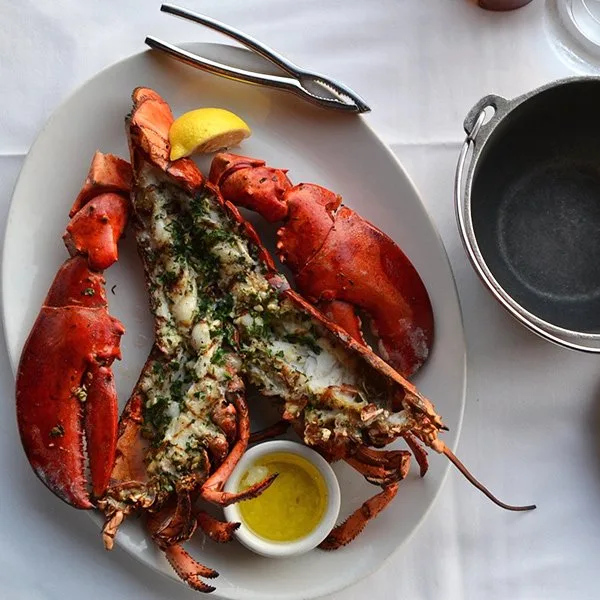 The Lobster — photo 4