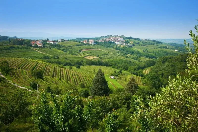 Restavracija diVino — atmosphere