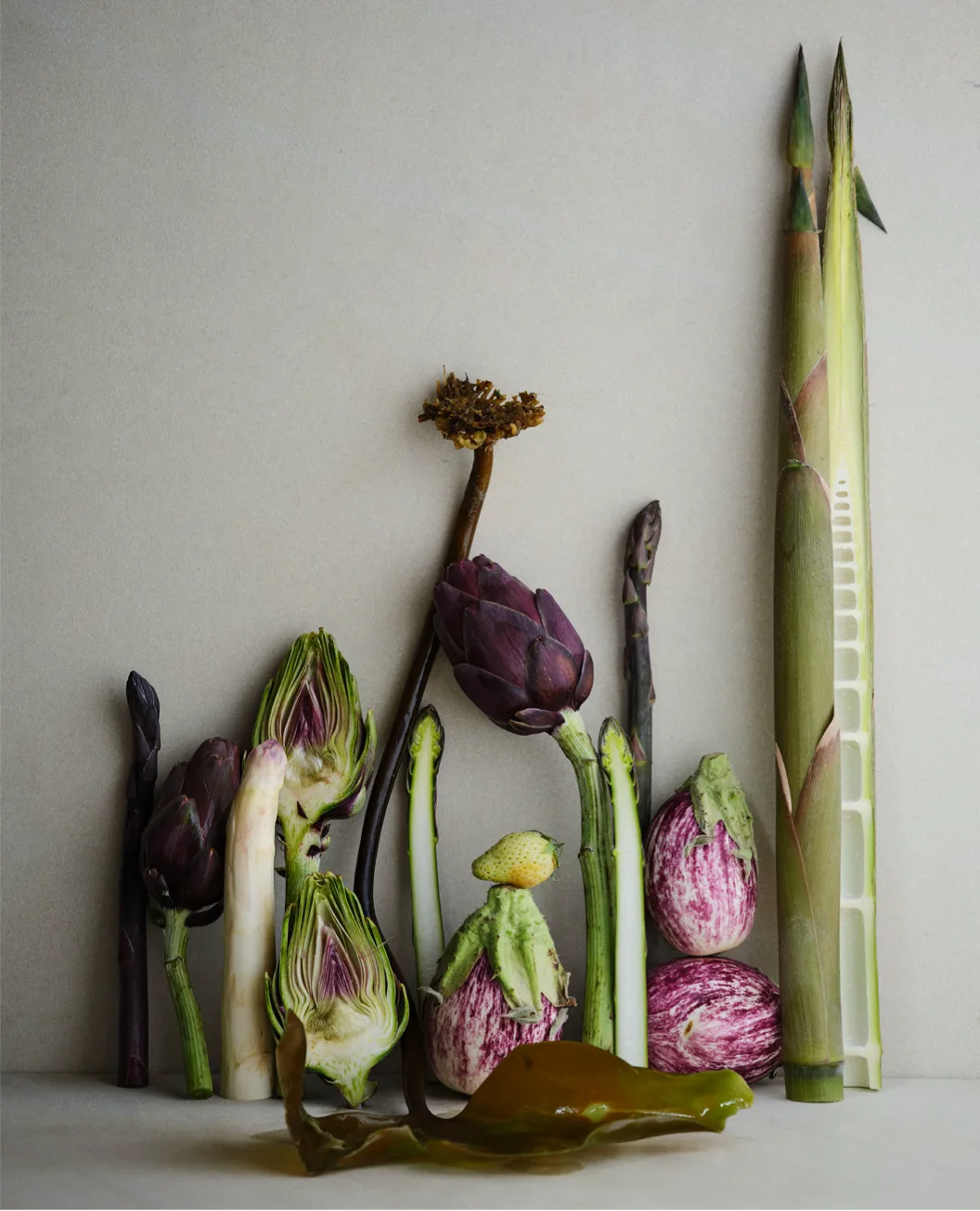 Noma — photo 23