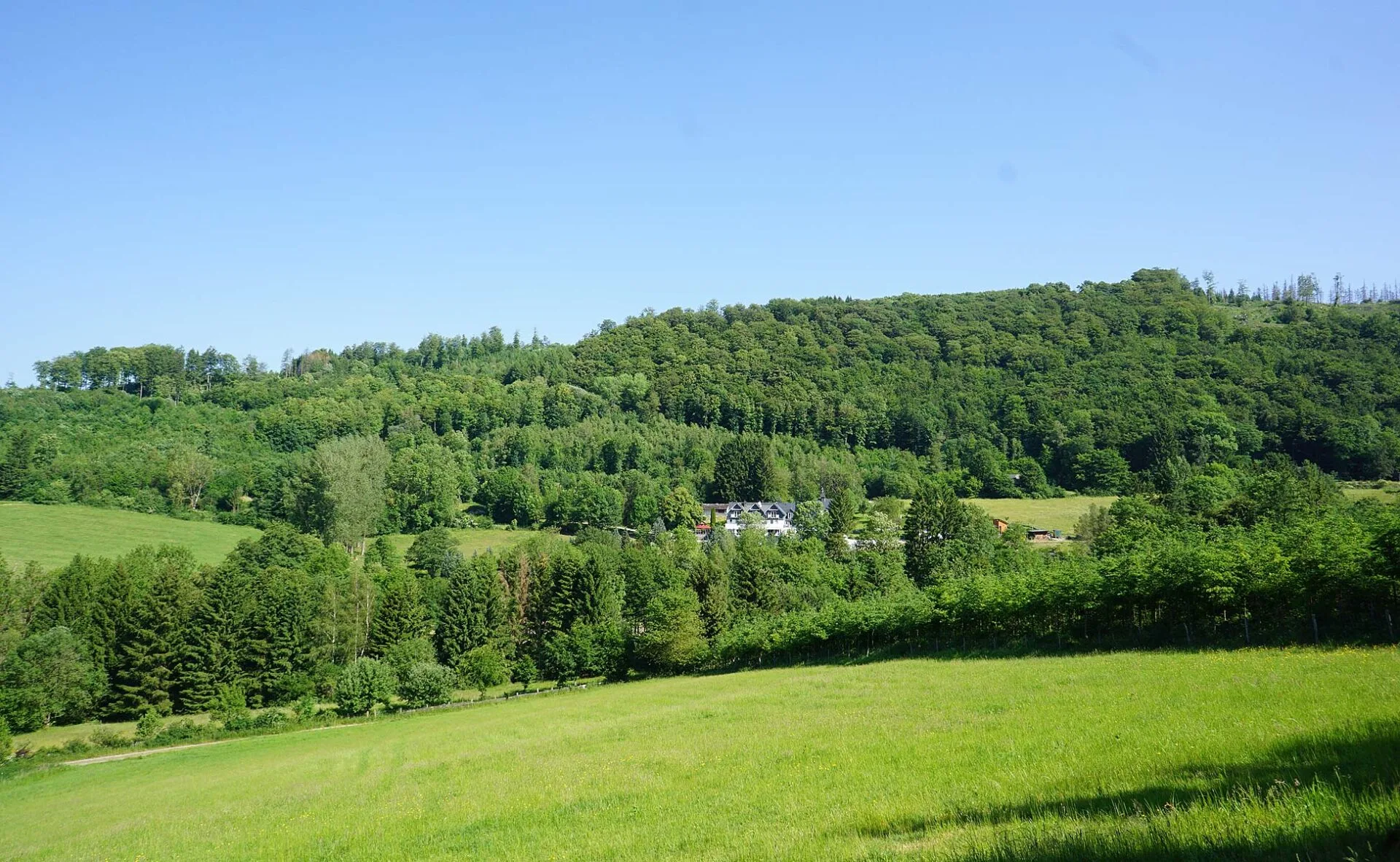 Waldhotel Schinkenwirt — photo 25