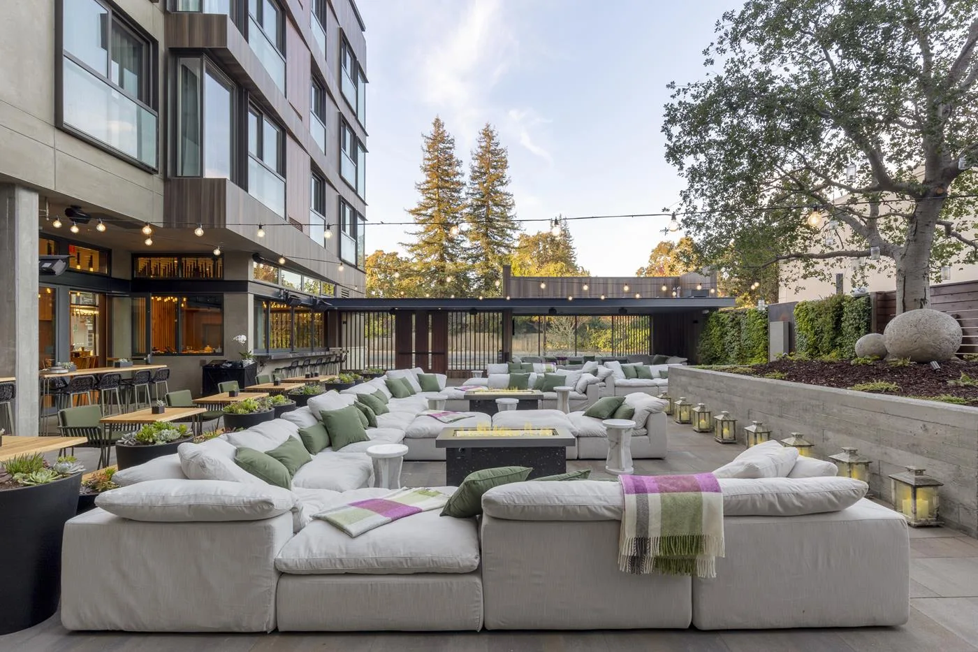 Oak + Violet Restaurant — photo 42