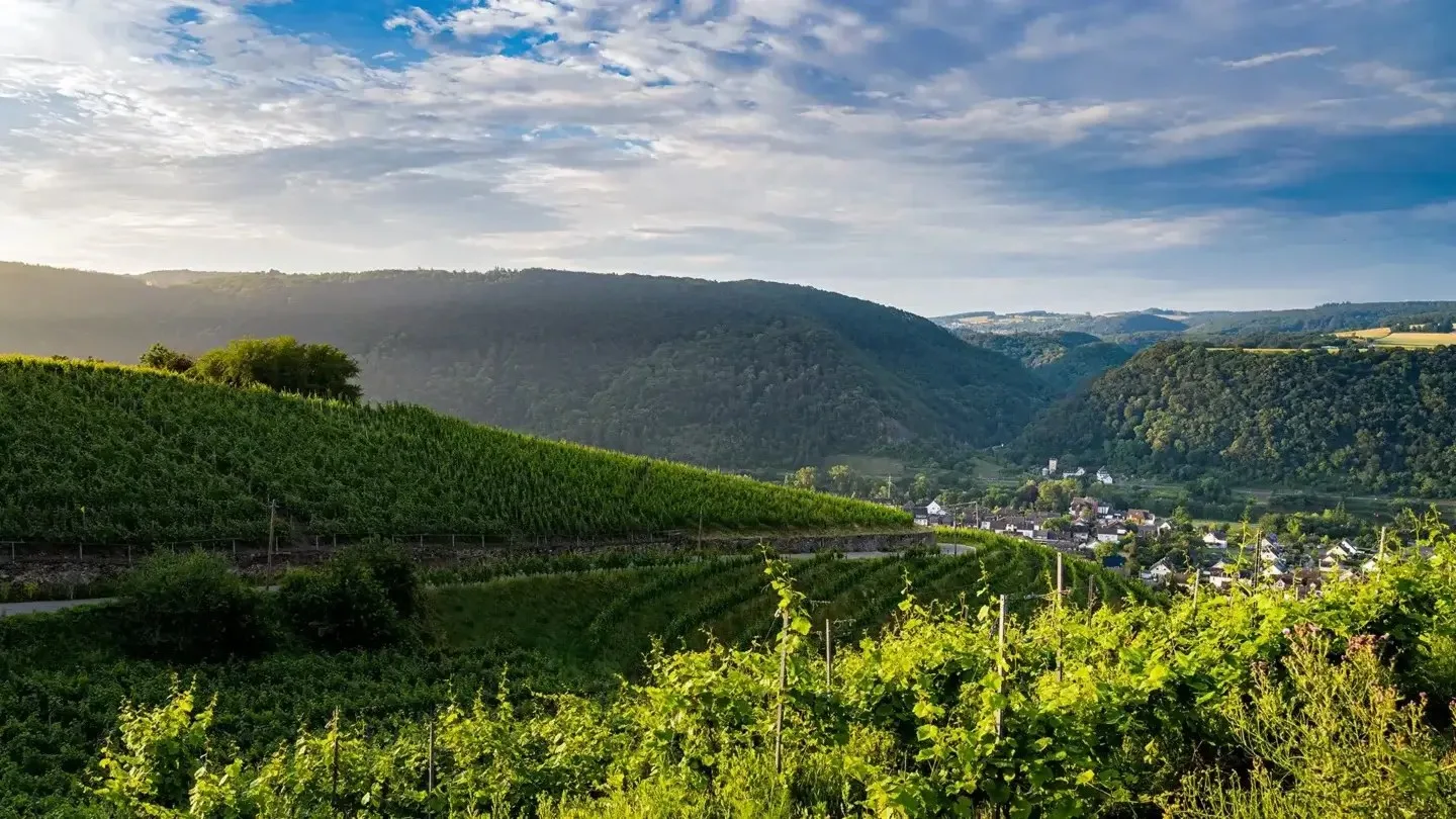 Restaurant Pistono — photo 42