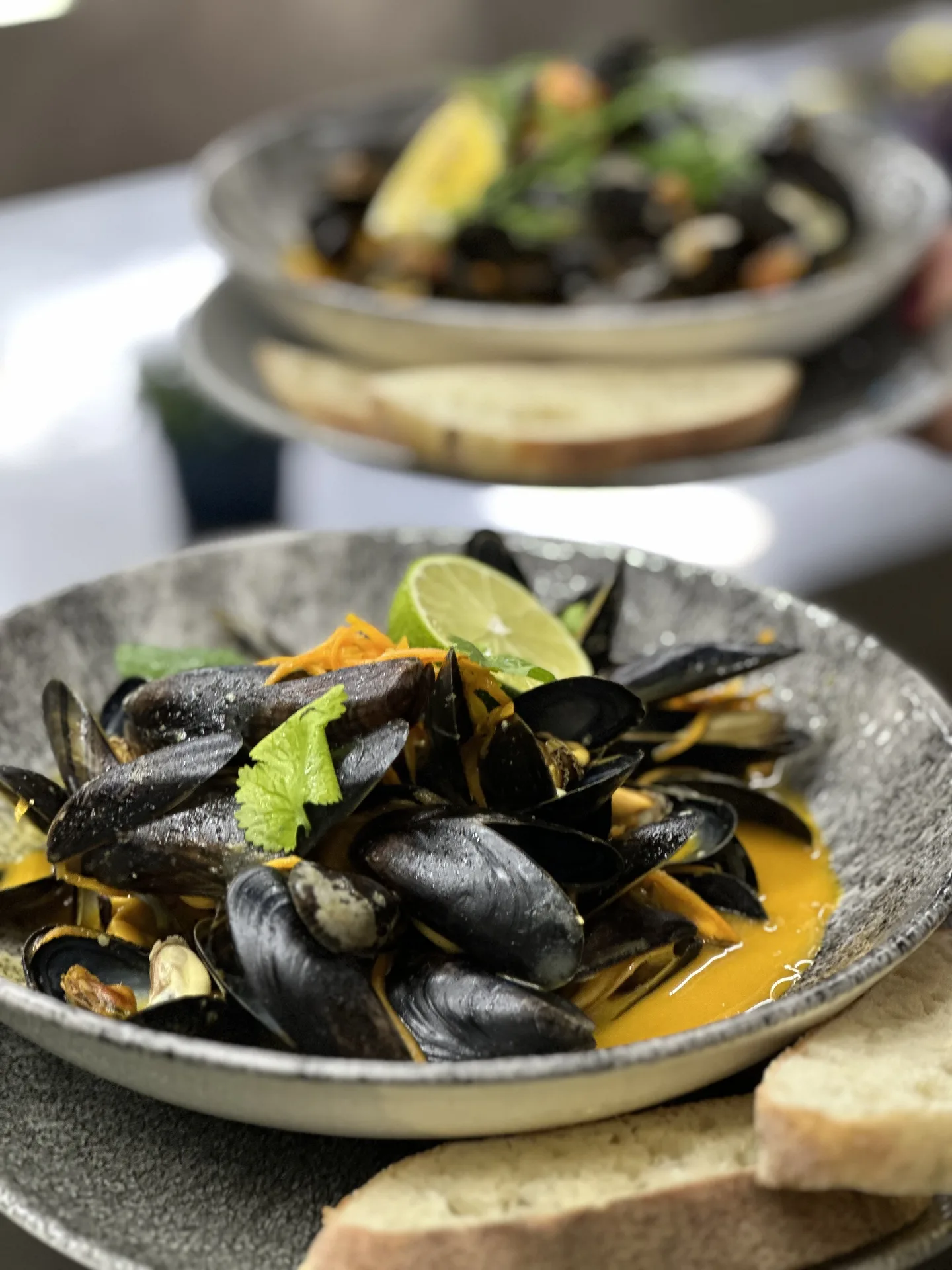 Rango restaurace — photo 66