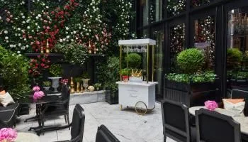 Grand Salon and The Bar — atmosphere