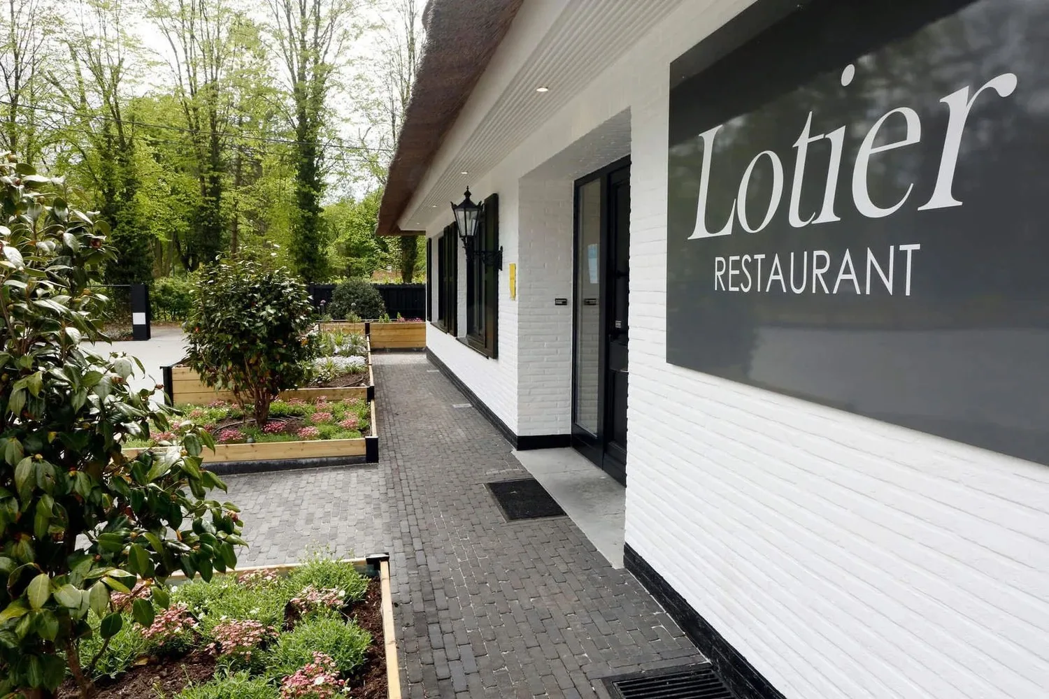 Lotier — photo 27