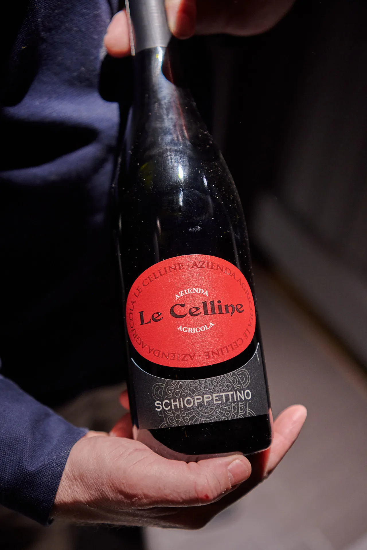 Chez Silvano — photo 12