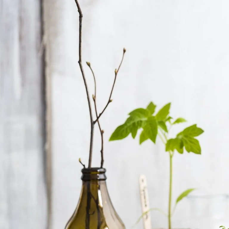 Hyacinthe & Robert — photo 11