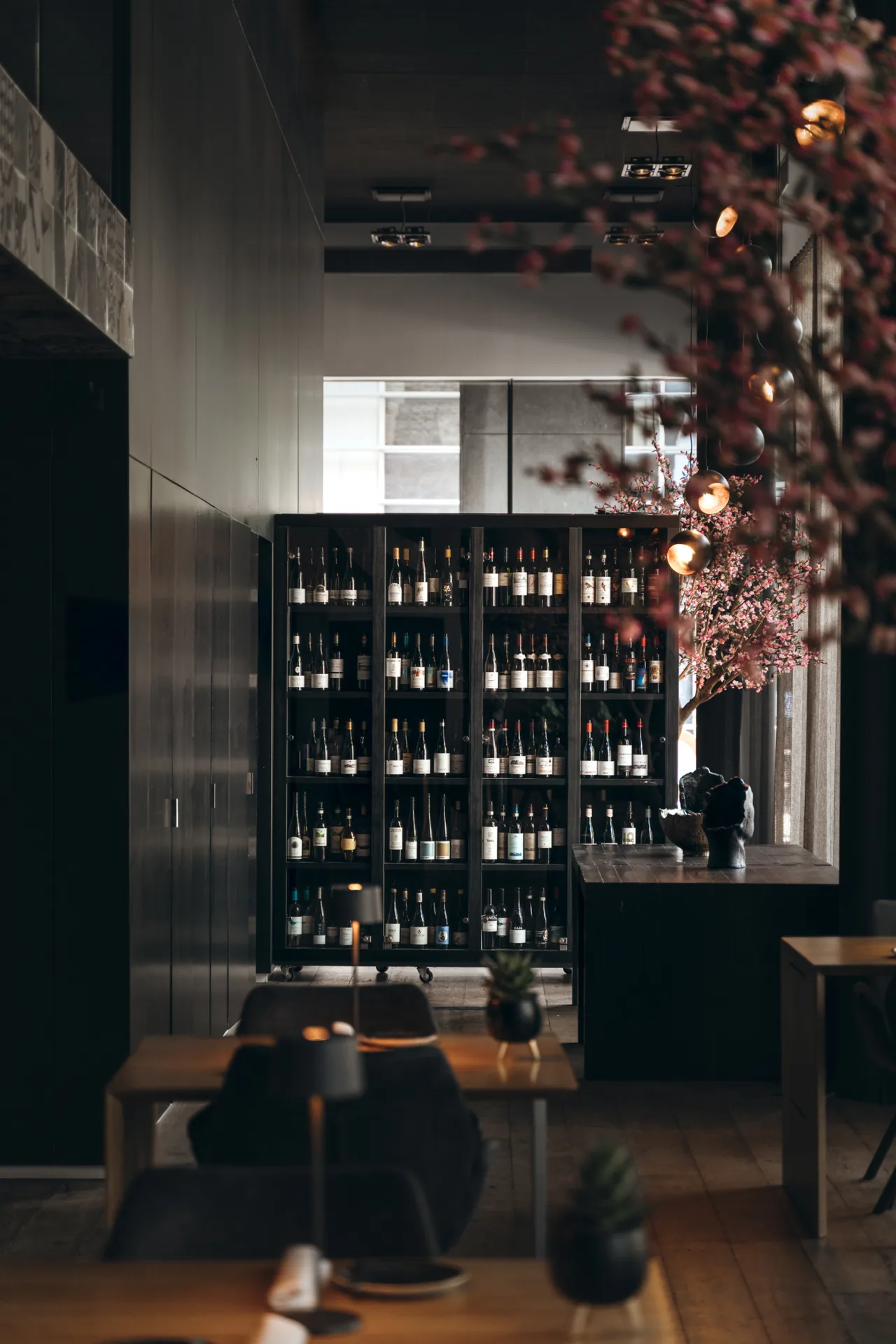Gusto — photo 19