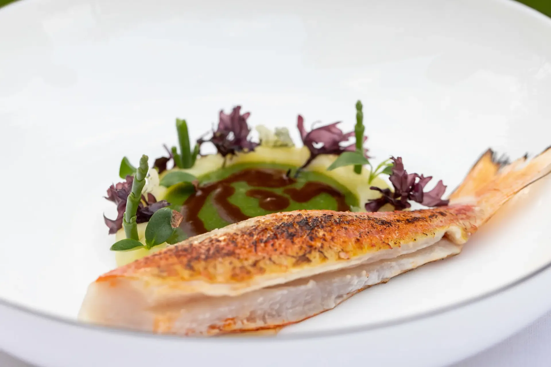 La Cucina di Donna Carmela — food