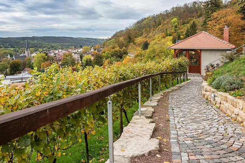 Restaurant Villa Ilske — atmosphere