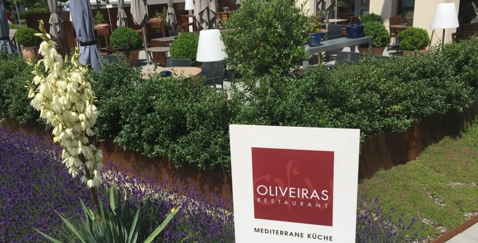 Oliveiras — photo 56