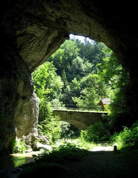 Gostilna Repolusk — photo 13