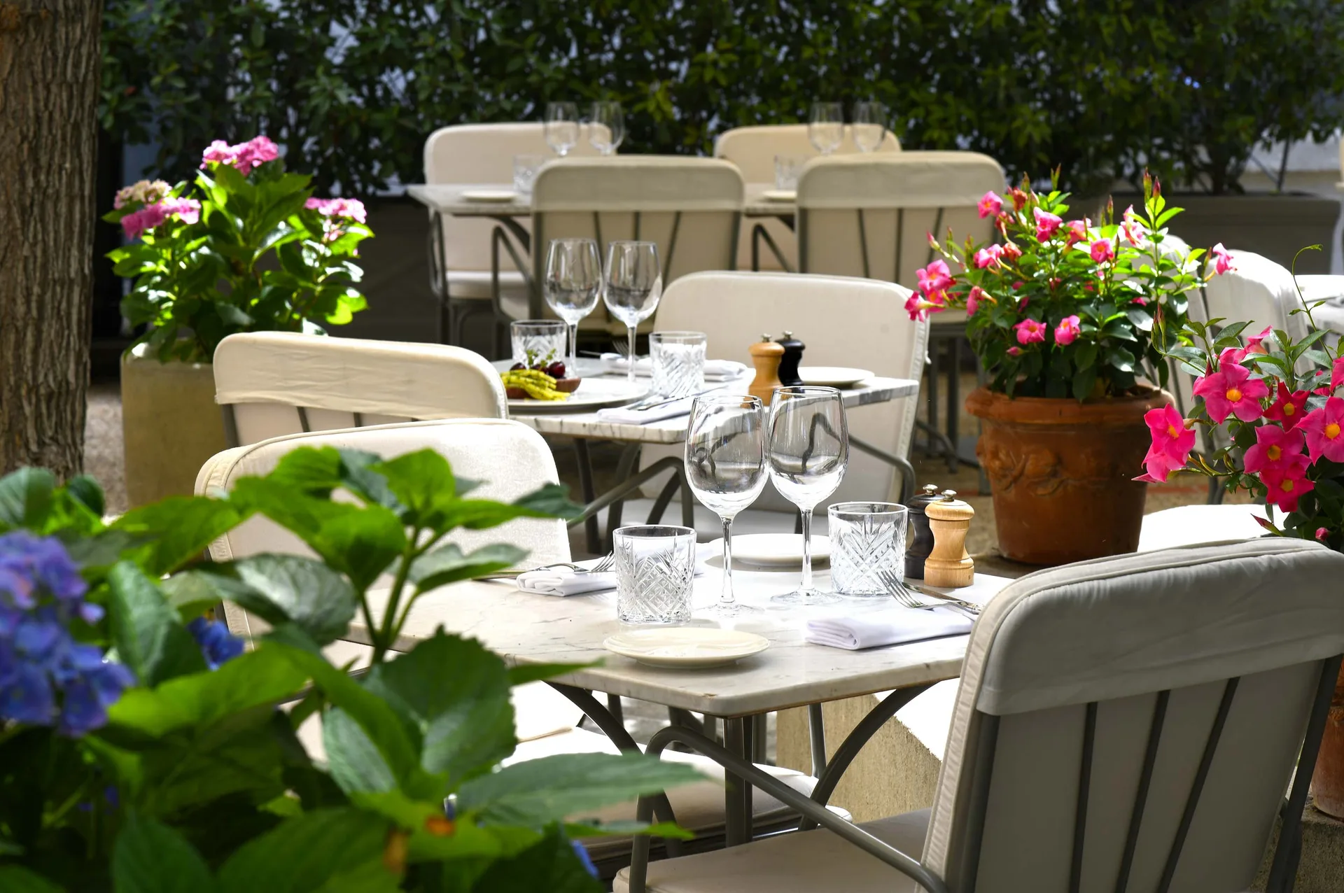Le Petit Henri — photo 11