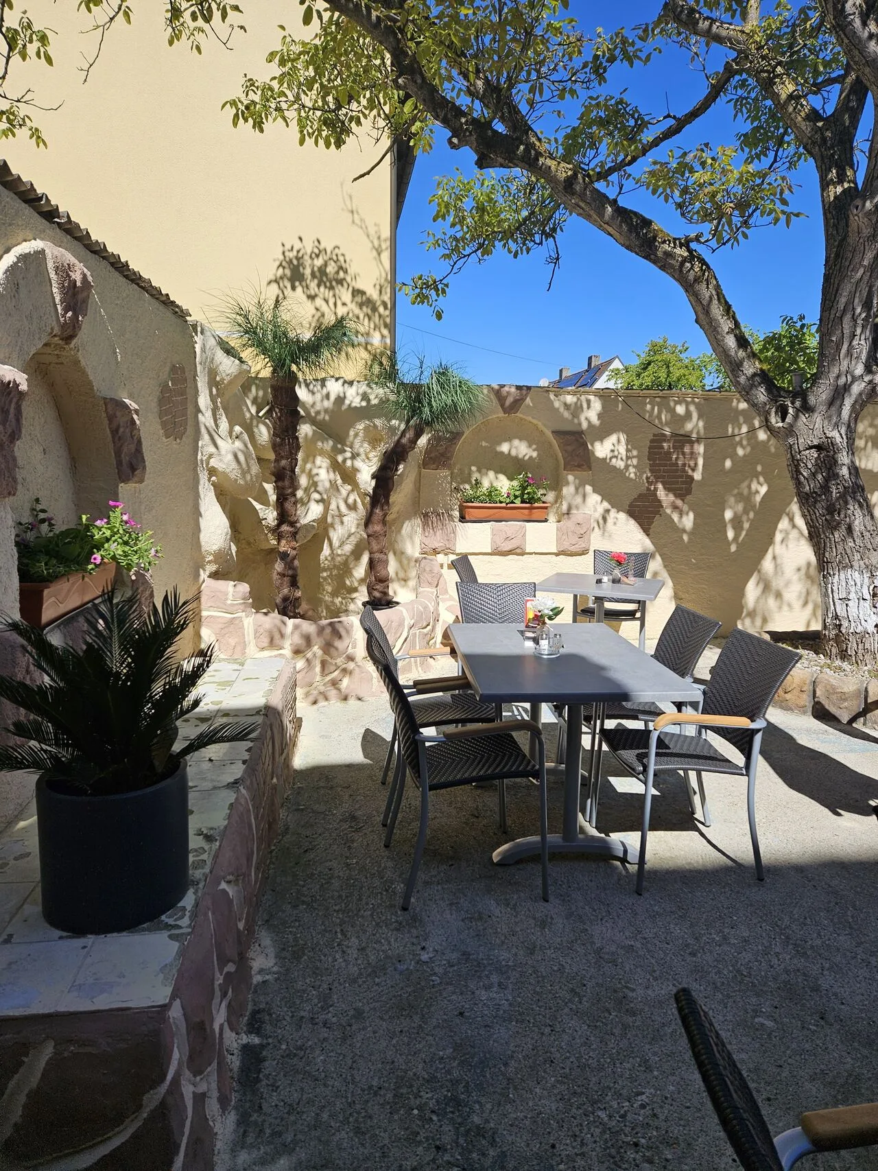 Trattoria Buon Gusto — photo 25