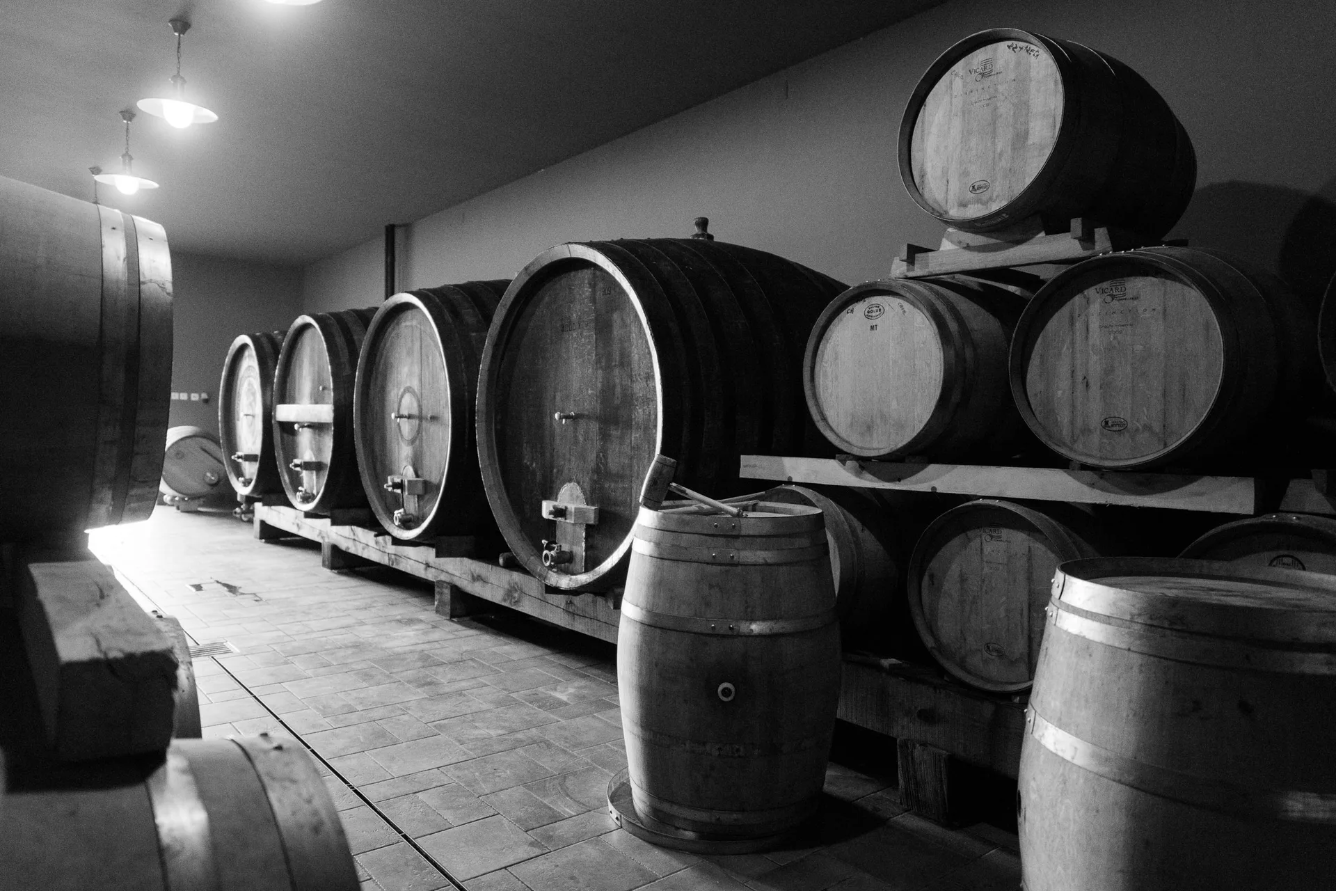 Korak Family Estate — photo 34