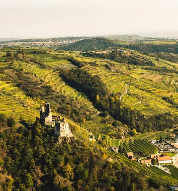 Weingut Nigl — photo 37