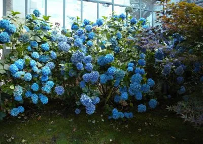 Eulalie — photo 77