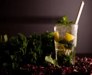 La Table du Lion — food