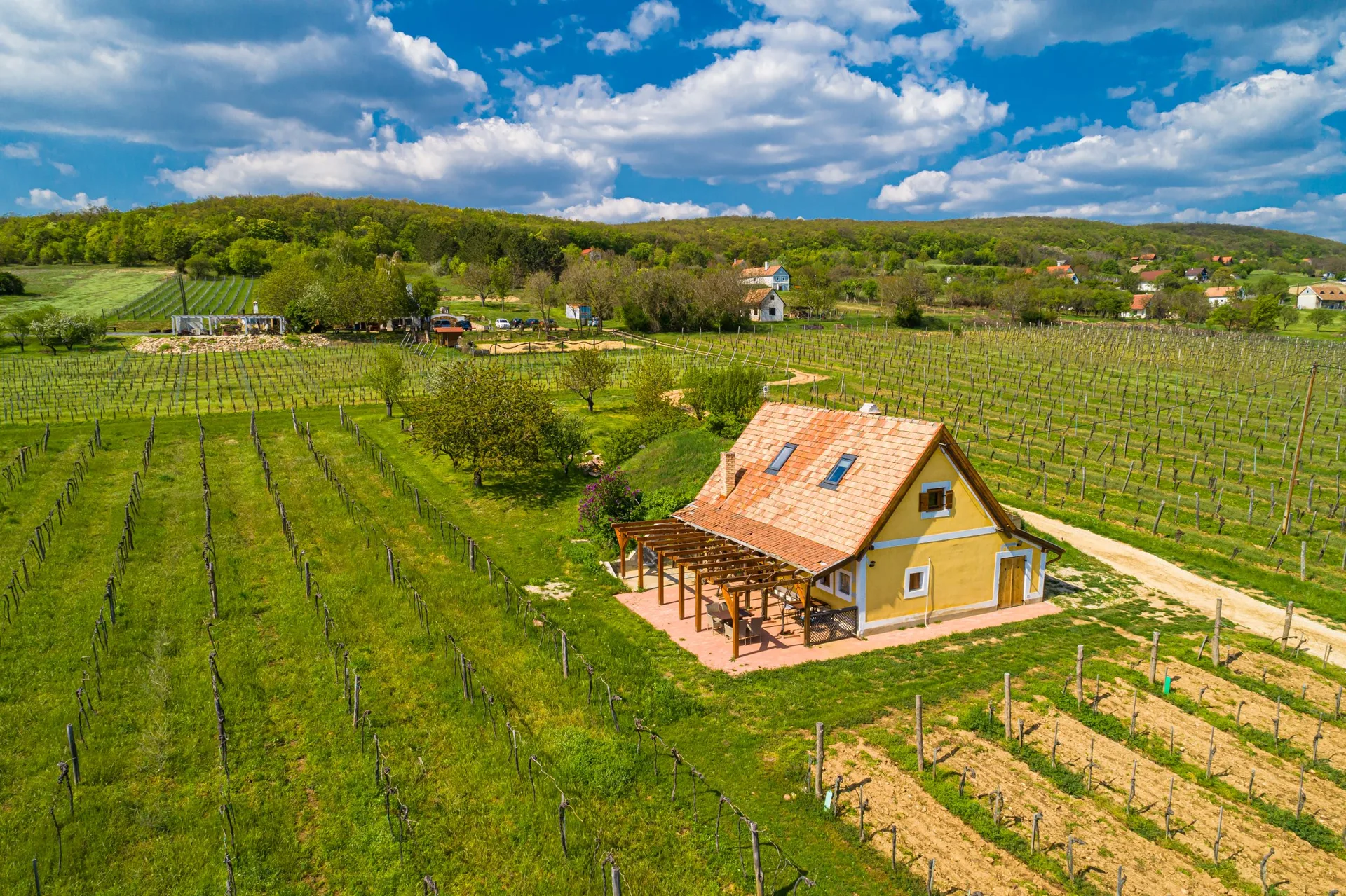 Tagyon Birtok Baráti Társaság — photo 82