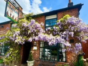 The Jolly Cricketers — photo 9