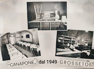 Canapone — photo 28