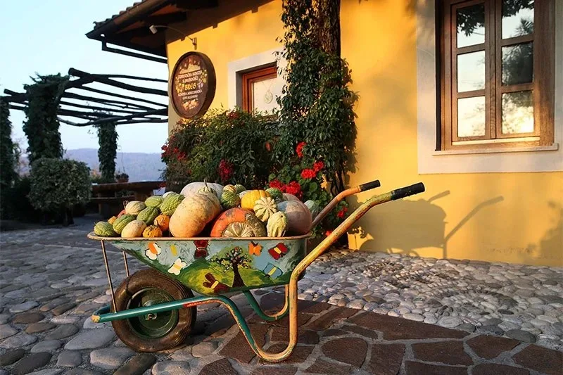 Turistična Kmetija Breg — photo 23