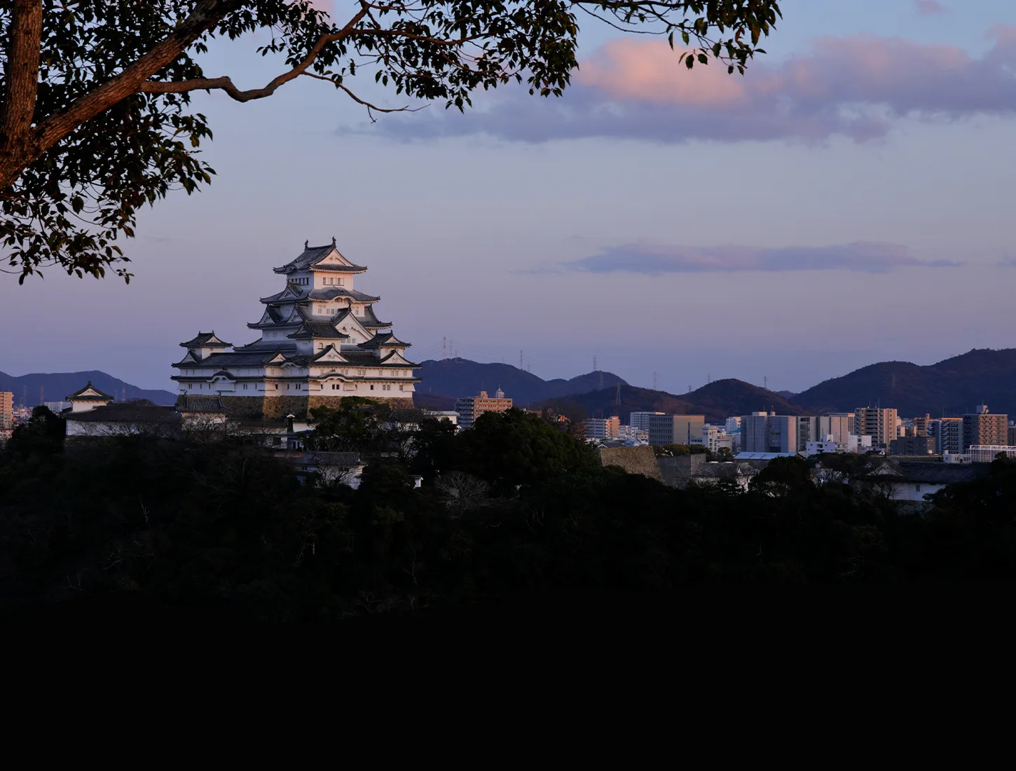 Nihonryori Tanryu — photo 27