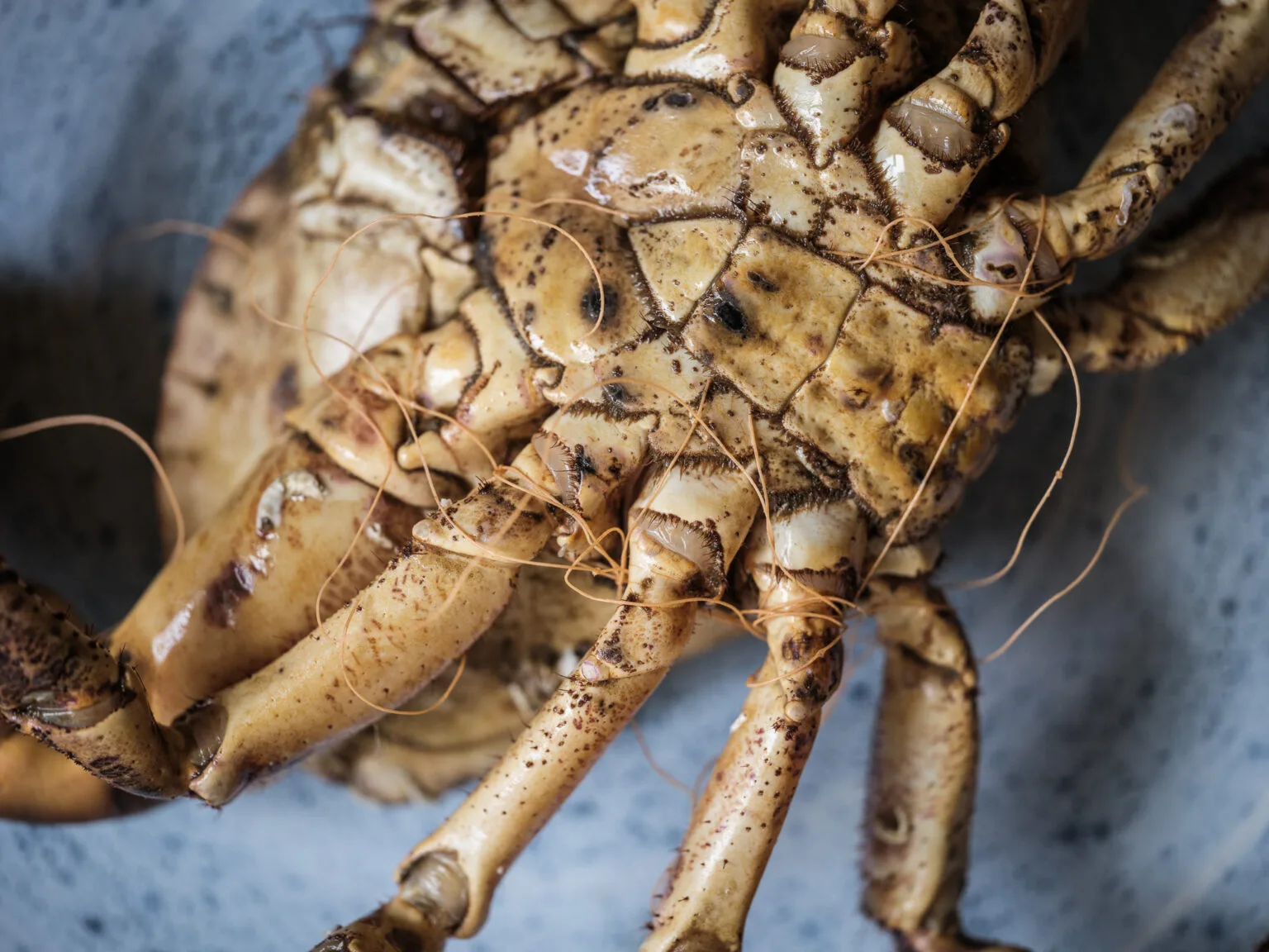 Salty Seafood Restaurant — photo 17