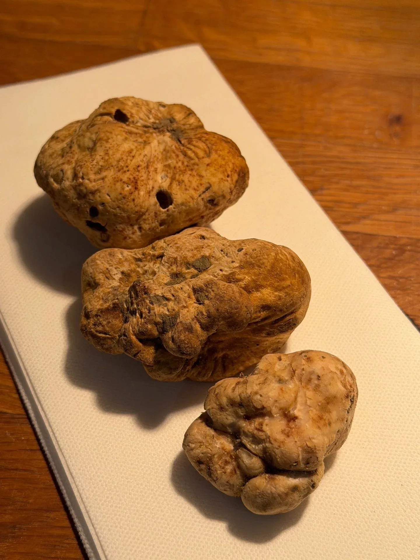 Cantaloupe — photo 7