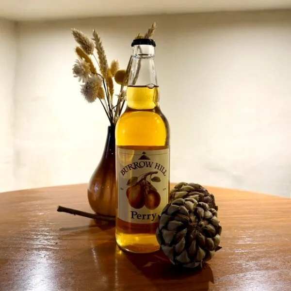 Artichoke — photo 8