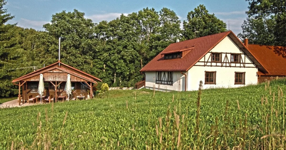 Rozmarýn — photo 52