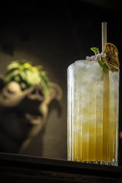 Canalla Bistro — drink