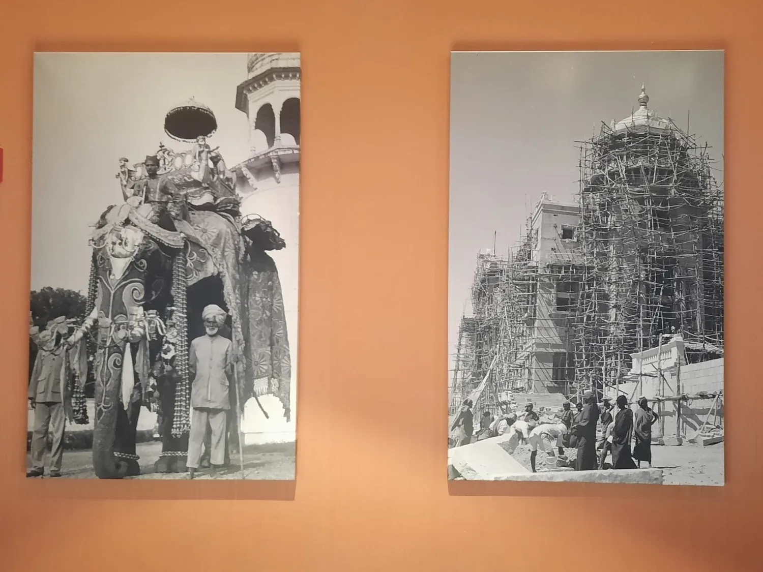 Rasika — photo 21